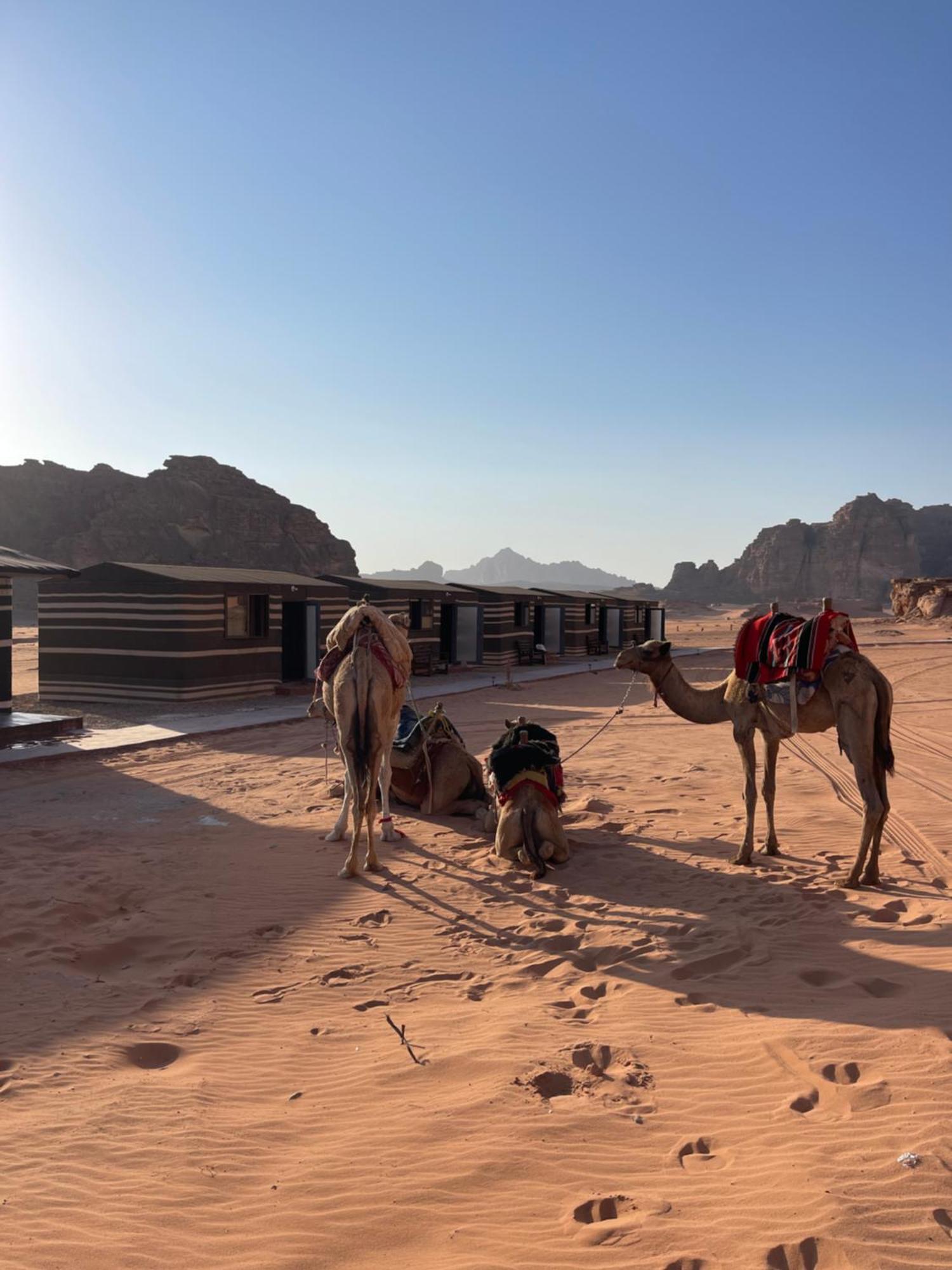 Wadi Rum Star Camp Екстер'єр фото